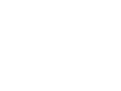 Livraison sous 48h - Dashcam France - Mobilicam